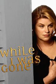 While I Was Gone 2004 one on netflix