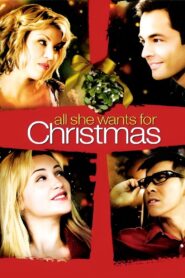 All She Wants for Christmas 2006 one on netflix