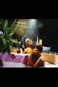 American Mountains 1994 one on netflix