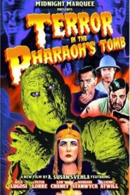 Terror in the Pharaoh’s Tomb 2007 one on netflix
