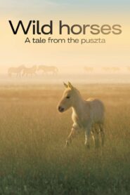 Wild Horses – A Tale From The Puszta 2021 one on netflix