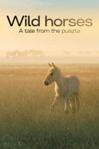 Wild Horses – A Tale From The Puszta 2021 one on netflix