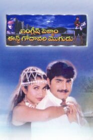 English Pellam East Godavari Mogudu 1999 one on netflix