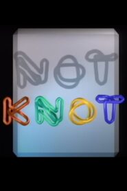 Not Knot 1990 one on netflix