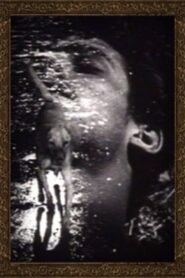 Buñuel 1989 one on netflix