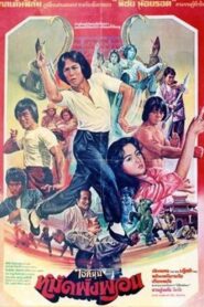 Fearless Master 1980 one on netflix
