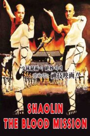 Sadae Shaolin Temple 1984 one on netflix