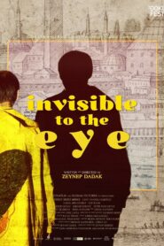 Invisible to the Eye 2020 one on netflix