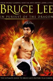 Bruce Lee: In Pursuit of the Dragon 2011 one on netflix