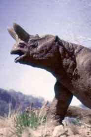 The Age of Mammals 1981 one on netflix