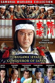 Tokugawa Ieyasu: The Conqueror of Japan 1992 one on netflix