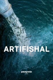 Artifishal 2019 one on netflix