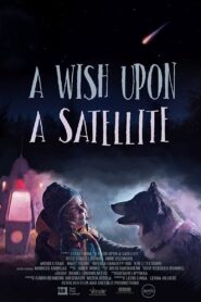A Wish Upon A Satellite 2021 one on netflix