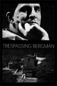 Trespassing Bergman 2013 one on netflix