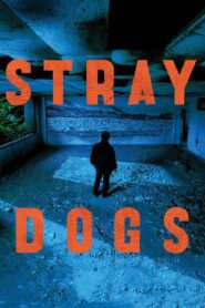 Stray Dogs 2014 one on netflix