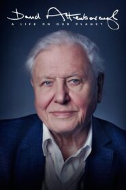 David Attenborough: A Life on Our Planet 2020 one on netflix