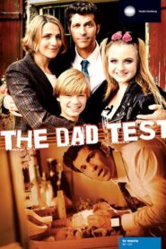 Papa auf Probe 2013 one on netflix