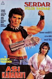 Asi Kabadayı 1986 one on netflix