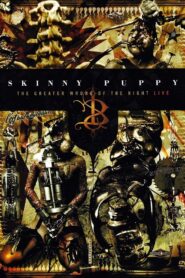 Skinny Puppy: The Greater Wrong of the Right Live 2005 one on netflix