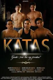Katas 2013 one on netflix
