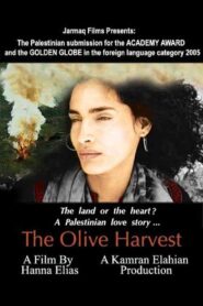 The Olive Harvest 2003 one on netflix