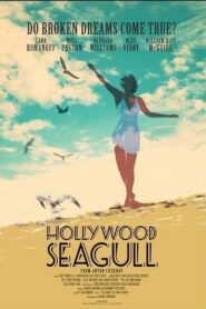 Hollywood Seagull 2013 one on netflix