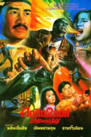 Wizard’s Curse 1992 one on netflix