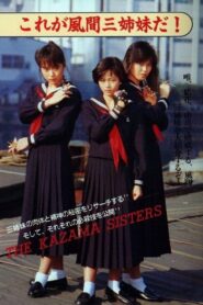Sukeban Deka 3: Shojo Ninpo-cho Denki TV Special 1987 one on netflix