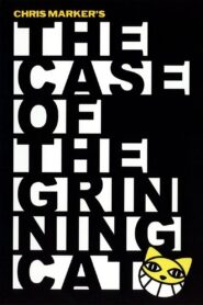 The Case of the Grinning Cat 2006 one on netflix