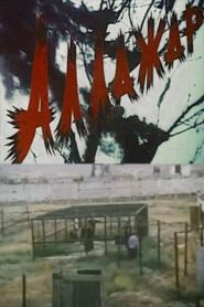 Allazhar 2001 one on netflix