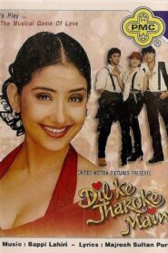 Dil Ke Jharoke Main 1997 one on netflix