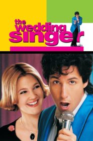The Wedding Singer 1998 one on netflix