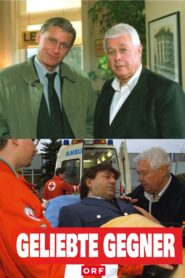 Geliebte Gegner 1998 one on netflix
