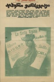 La stella Alpina 1980 one on netflix