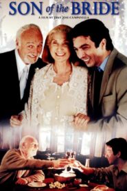 Son of the Bride 2001 one on netflix
