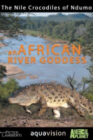 River Dragons of Ndumo 1997 one on netflix