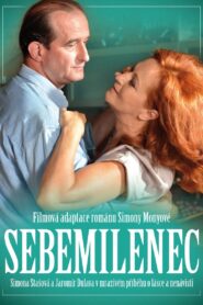 The Self Lover 2013 one on netflix