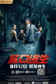 Escape of Shark 2021 one on netflix