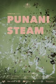 Punani Steam 2021 one on netflix
