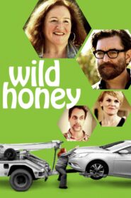 Wild Honey 2017 one on netflix