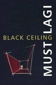 Black Ceiling 2007 one on netflix