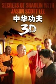 Secrets of Shaolin with Jason Scott Lee 2012 one on netflix