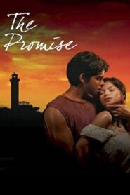 The Promise 2007 one on netflix