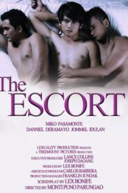 The Escort 2011 one on netflix