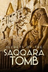 Secrets of the Saqqara Tomb 2020 one on netflix