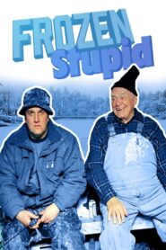 Frozen Stupid 2008 one on netflix
