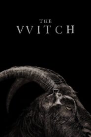 The Witch 2016 one on netflix