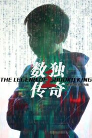 数独王传奇 2020 one on netflix