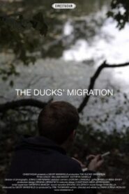 The Ducks’ Migration 2012 one on netflix