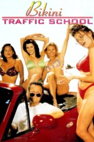 Bikini Traffic School 1998 one on netflix